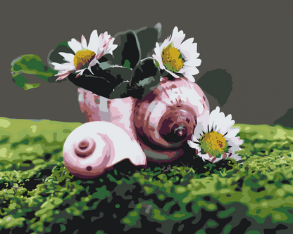 Paint by Numbers - Margueritter i konkylien