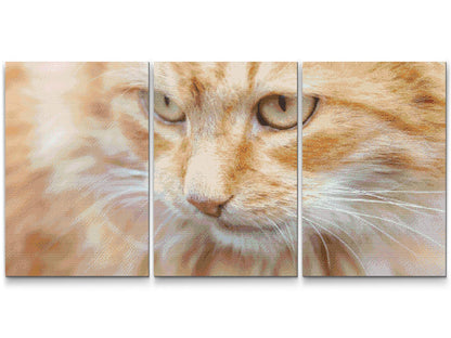 Diamond Painting - Jagtkat (sæt af 3)