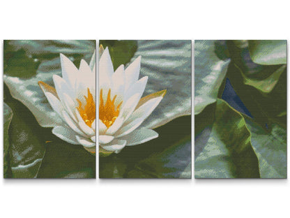 Diamond Painting - Lotusblomst, Symbol på Visdom (sæt af 3)