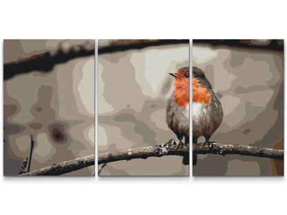 Paint by Numbers - Robin (sæt af 3)