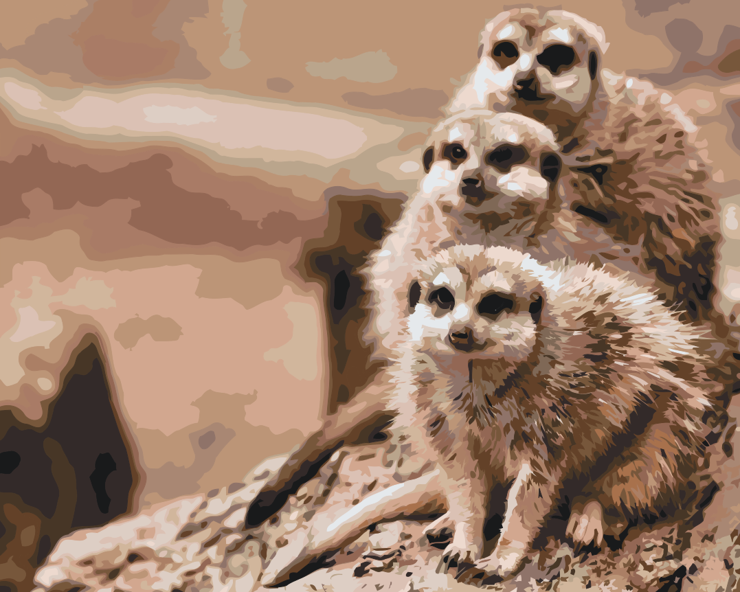 Paint by Numbers - Safari Surikater