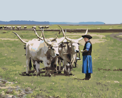 Paint by Numbers - Hortobagy Nationalpark, Ungarn