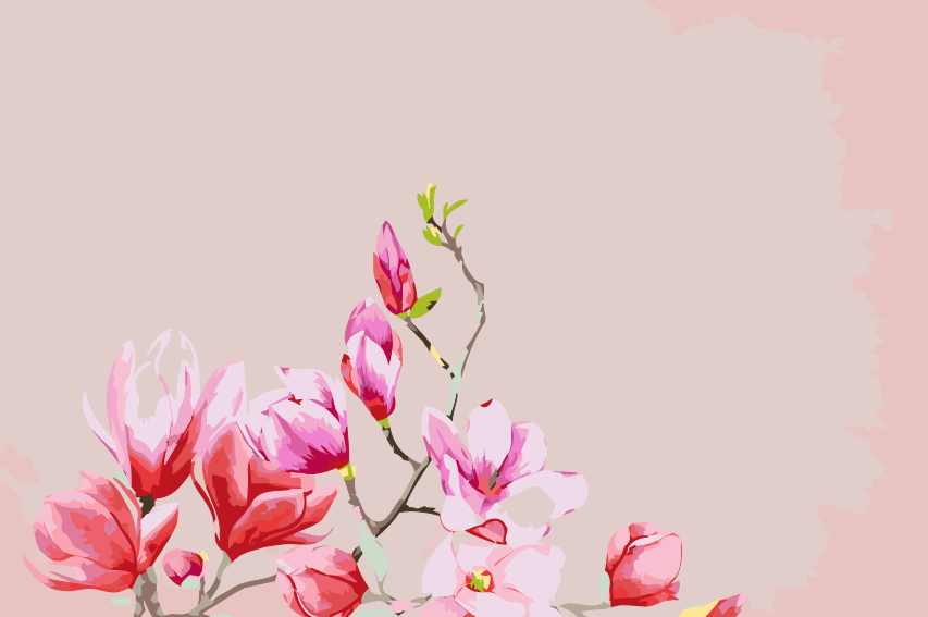Paint by Numbers - Magnolia
