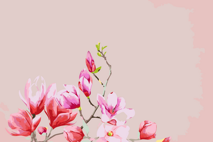 Paint by Numbers - Magnolia