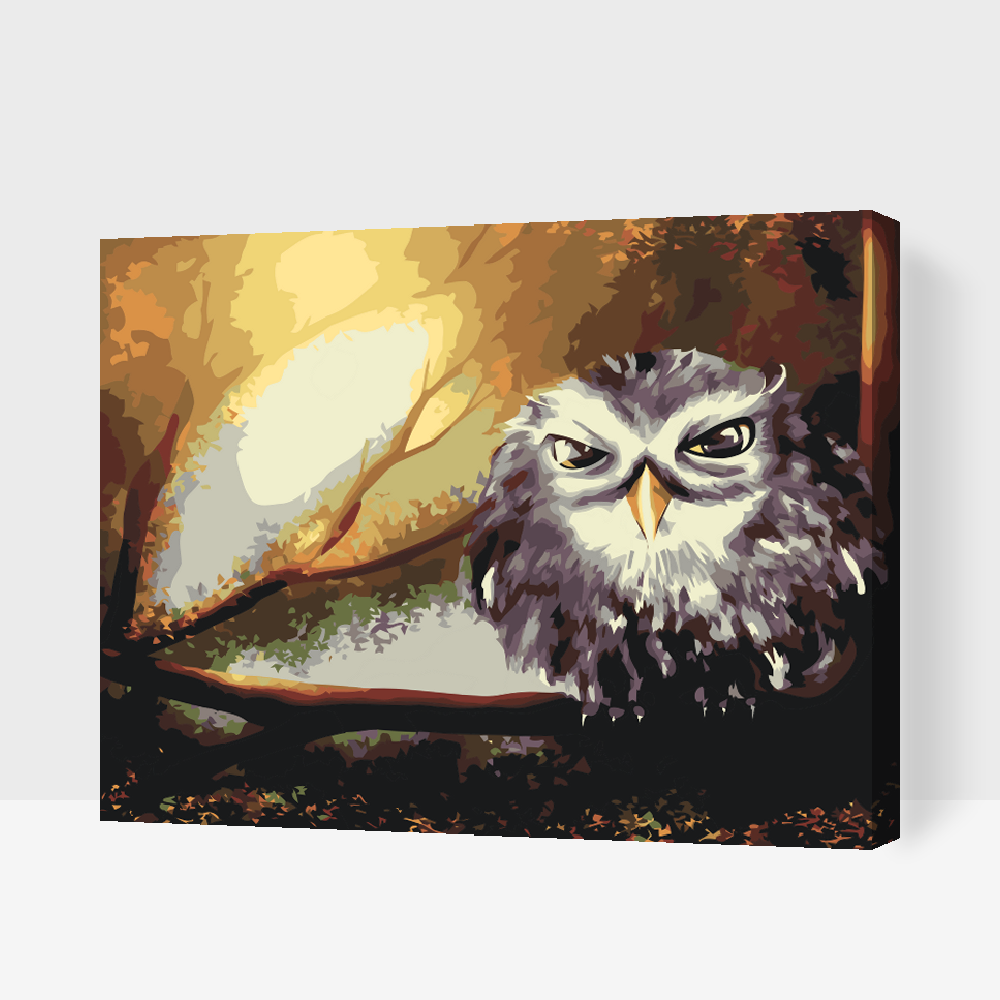 Paint by Numbers - Wise Owl