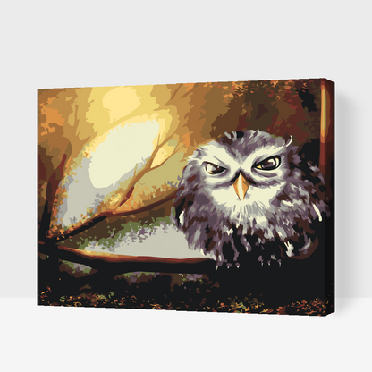 Paint by Numbers - Wise Owl