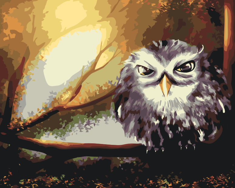 Paint by Numbers - Wise Owl