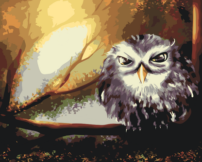 Paint by Numbers - Wise Owl