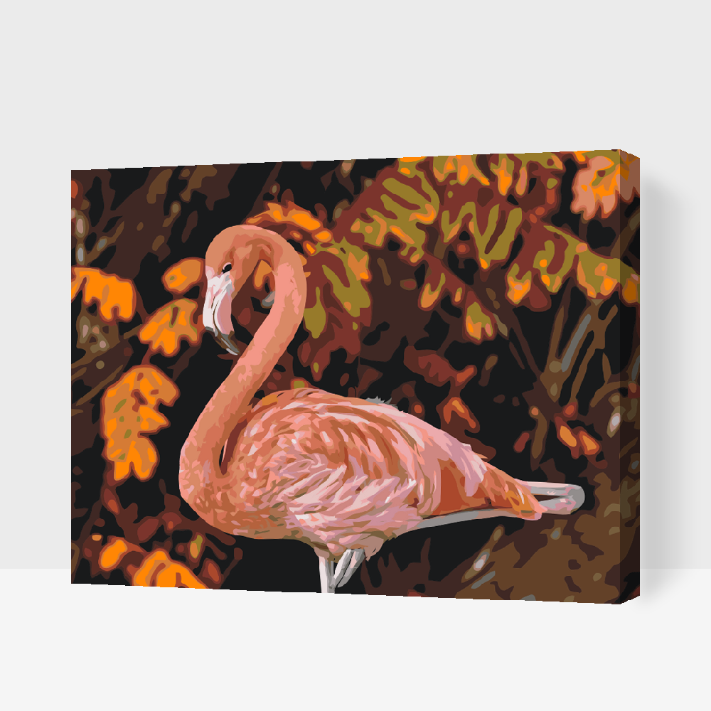 Paint by Numbers - Flamingo i naturen