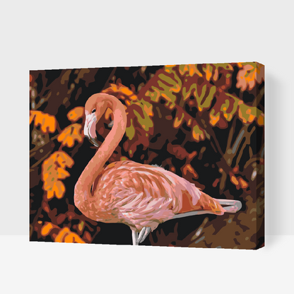 Paint by Numbers - Flamingo i naturen