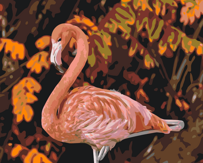 Paint by Numbers - Flamingo i naturen