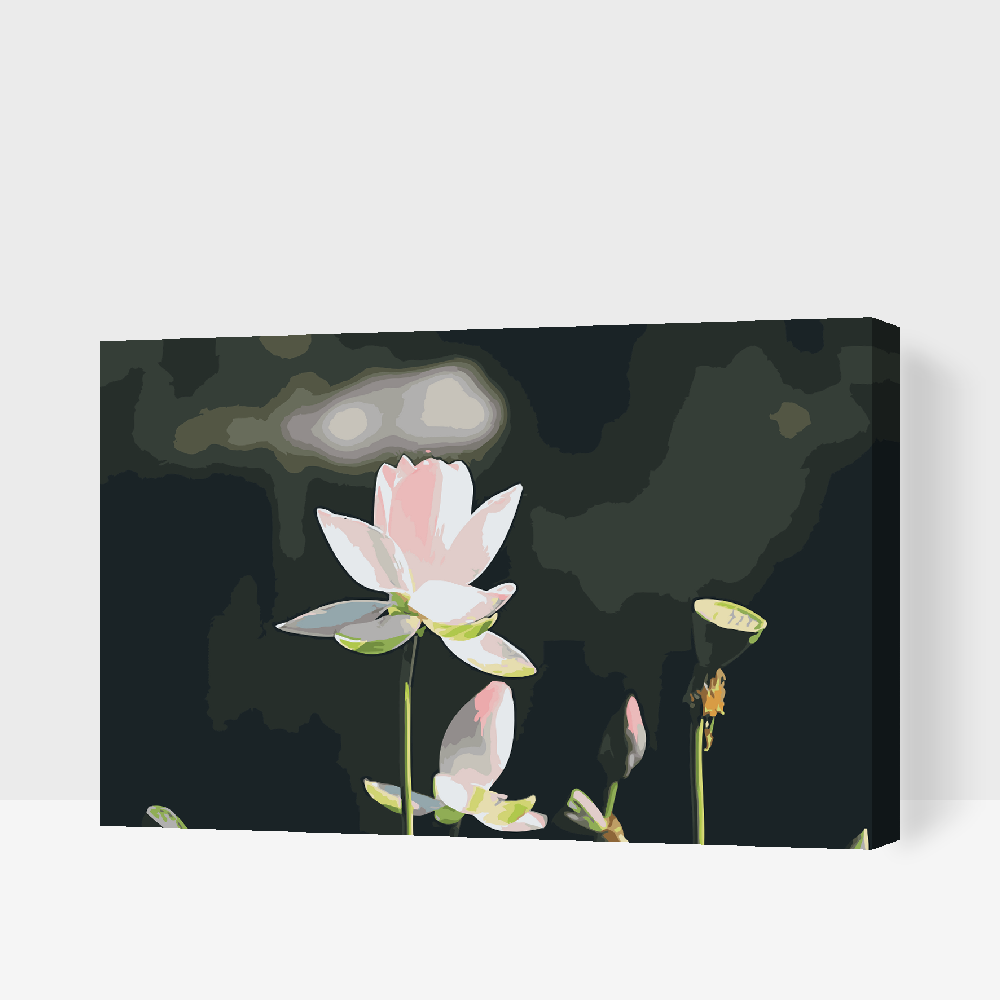 Paint by Numbers - Lotusblomst