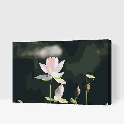 Paint by Numbers - Lotusblomst