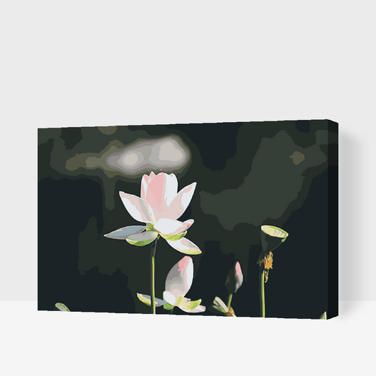 Paint by Numbers - Lotusblomst