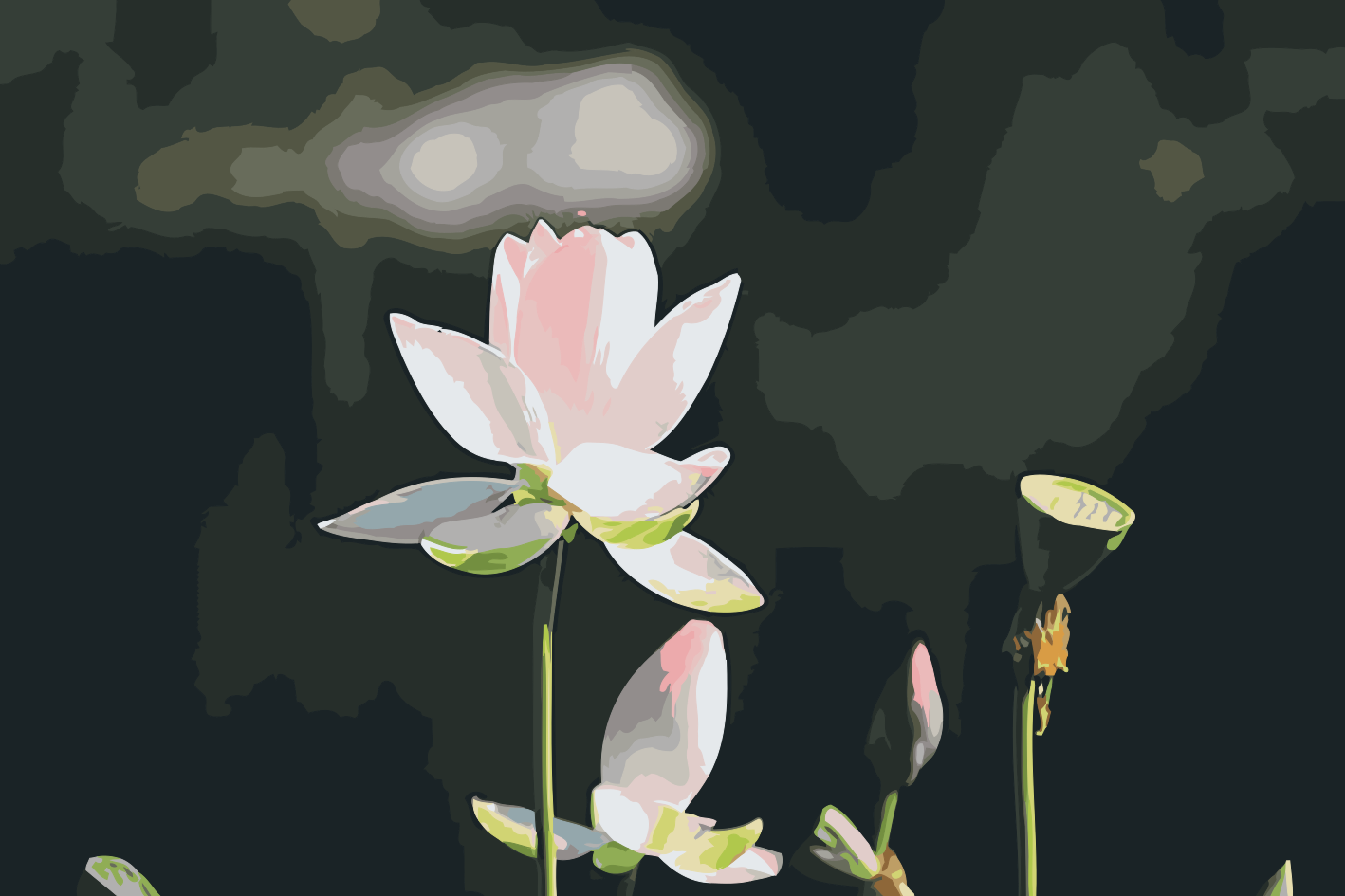 Paint by Numbers - Lotusblomst