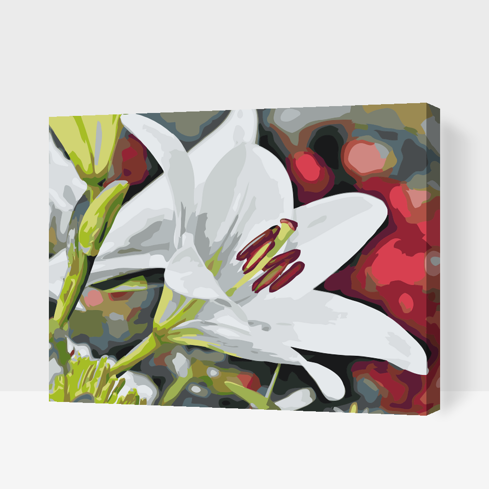 Paint by Numbers - White Lily