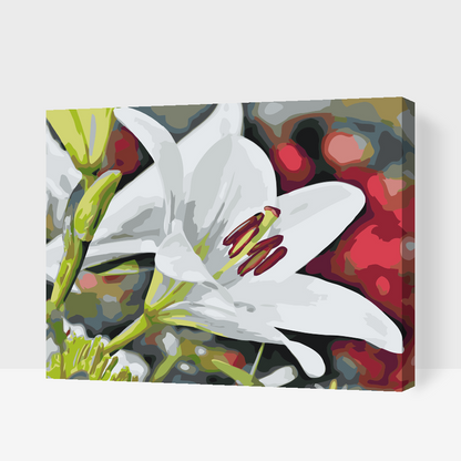 Paint by Numbers - White Lily