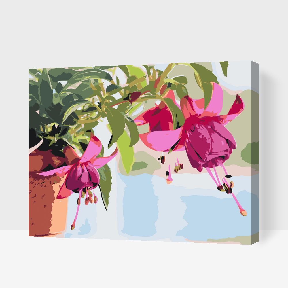 Paint by Numbers - Fuchsia i en blomsterpotte