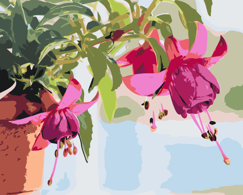 Paint by Numbers - Fuchsia i en blomsterpotte