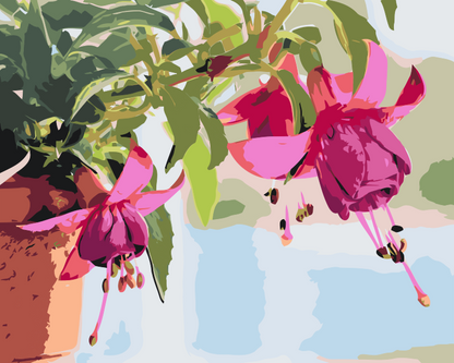 Paint by Numbers - Fuchsia i en blomsterpotte