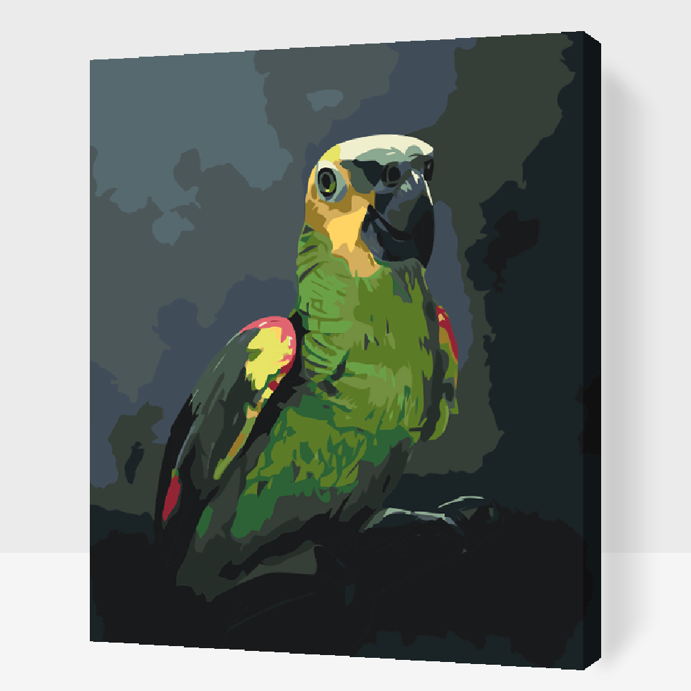 Paint by Numbers - Amazonpapegøje