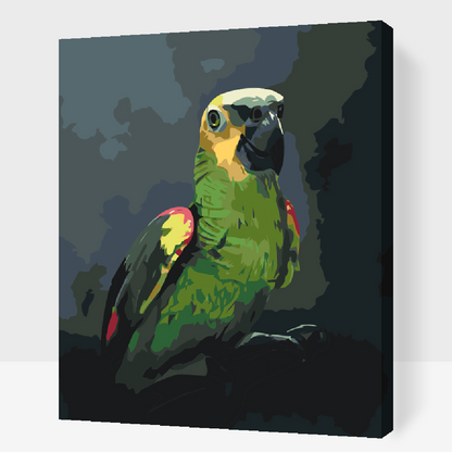 Paint by Numbers - Amazonpapegøje