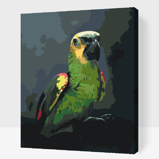 Paint by Numbers - Amazonpapegøje