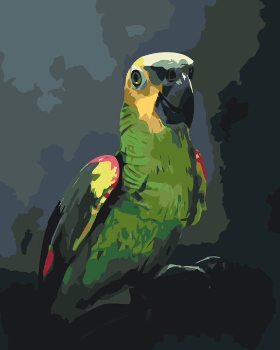 Paint by Numbers - Amazonpapegøje