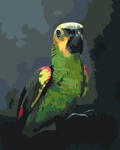 Paint by Numbers - Amazonpapegøje