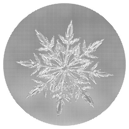 Mal-med-prikker -  Ice Flake 2