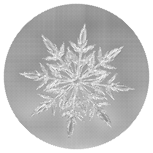 Mal-med-prikker -  Ice Flake 2