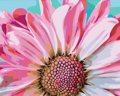 Paint by Numbers - Blid lyserød blomst