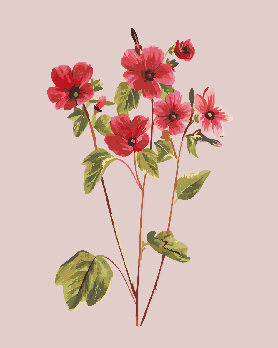 Paint by Numbers - Vintage blomster