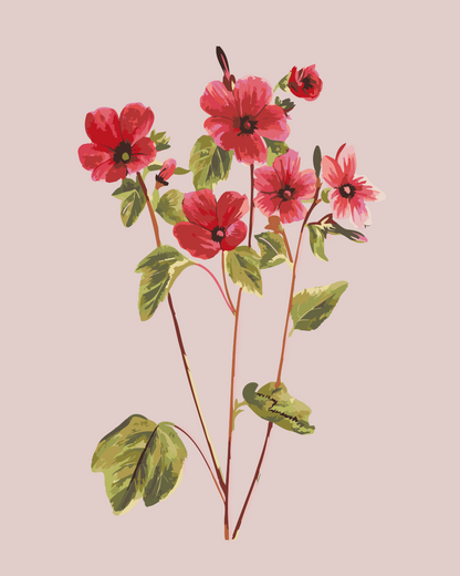 Paint by Numbers - Vintage blomster