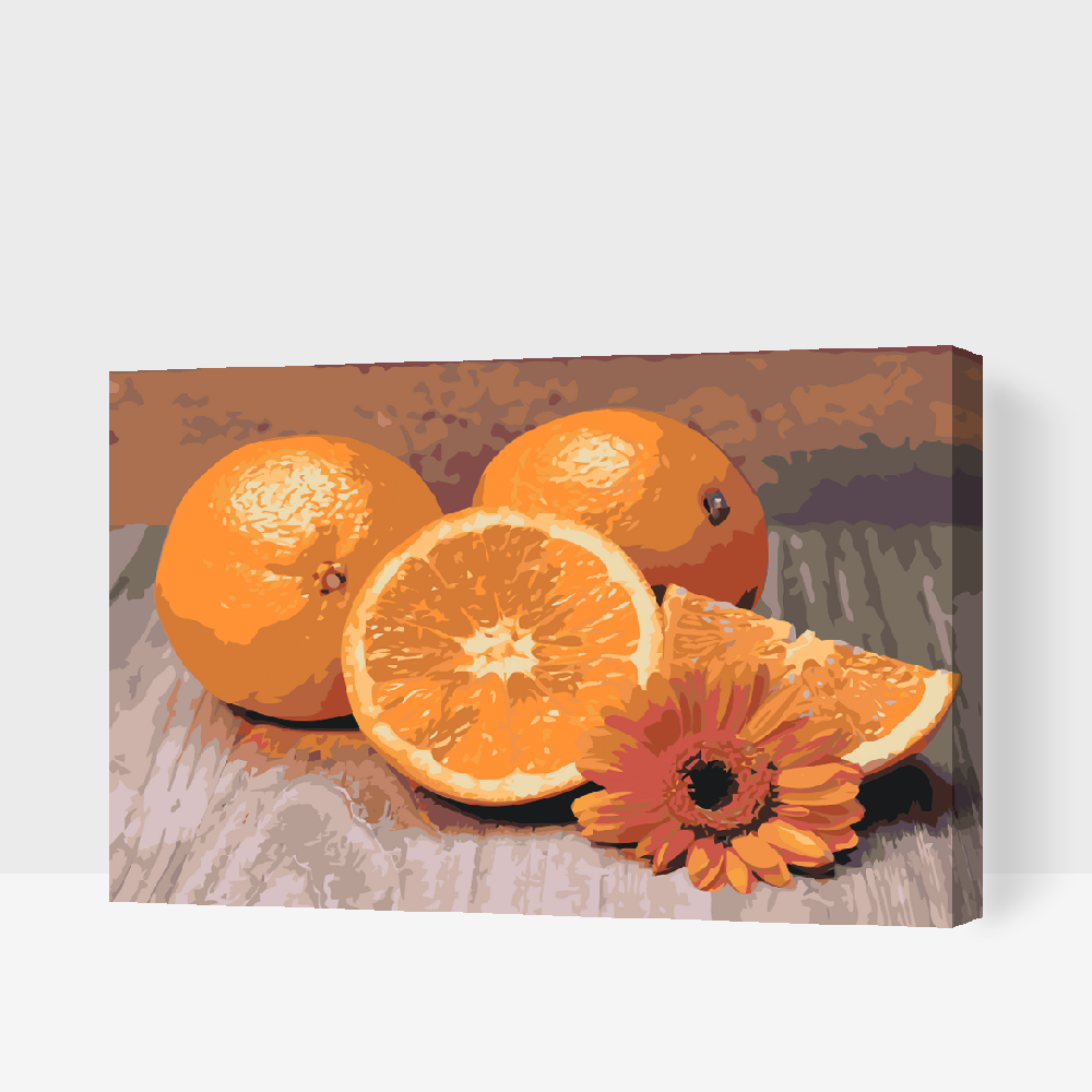 Paint by Numbers - Citrusfrugter, appelsin