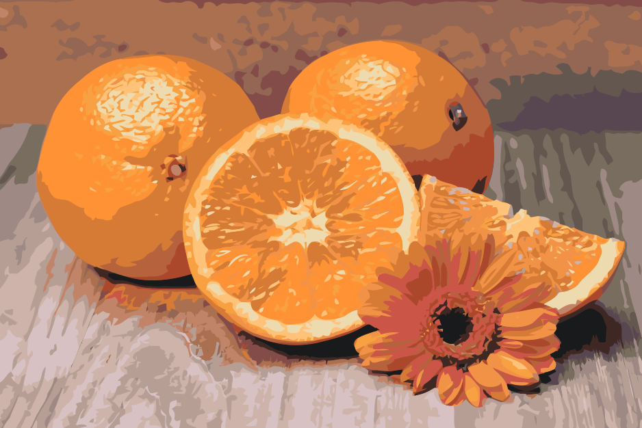 Paint by Numbers - Citrusfrugter, appelsin