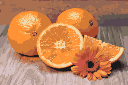 Paint by Numbers - Citrusfrugter, appelsin