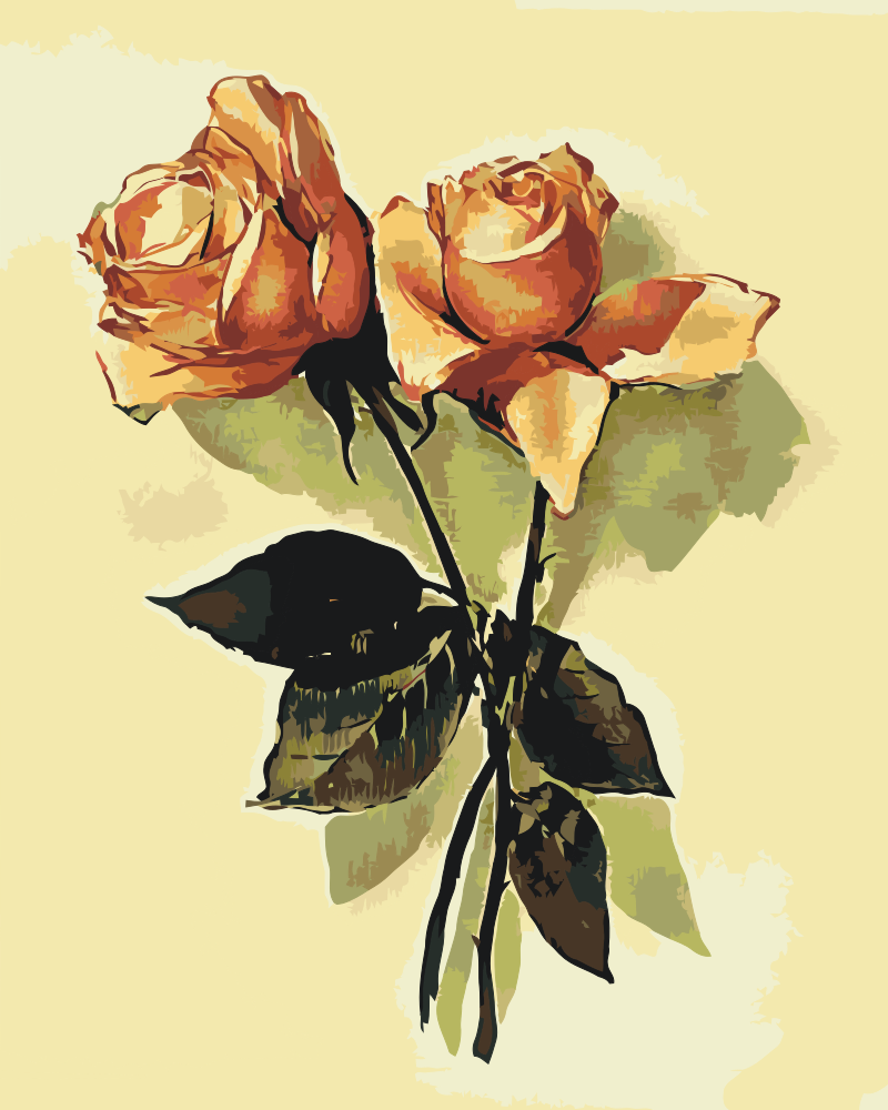 Paint by Numbers - Vintage Rose 2