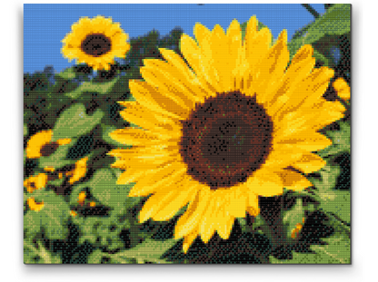 Diamond Painting - Solsikker