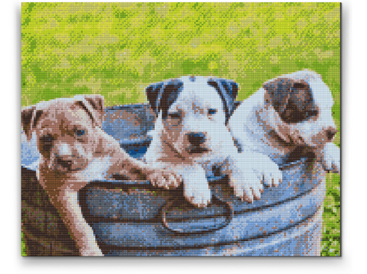 Diamond Painting - Tre hvalpe