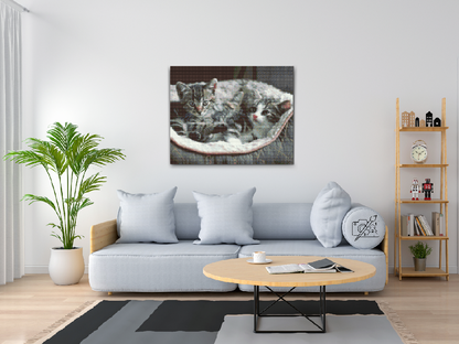 Diamond Painting - Killinger i kurv