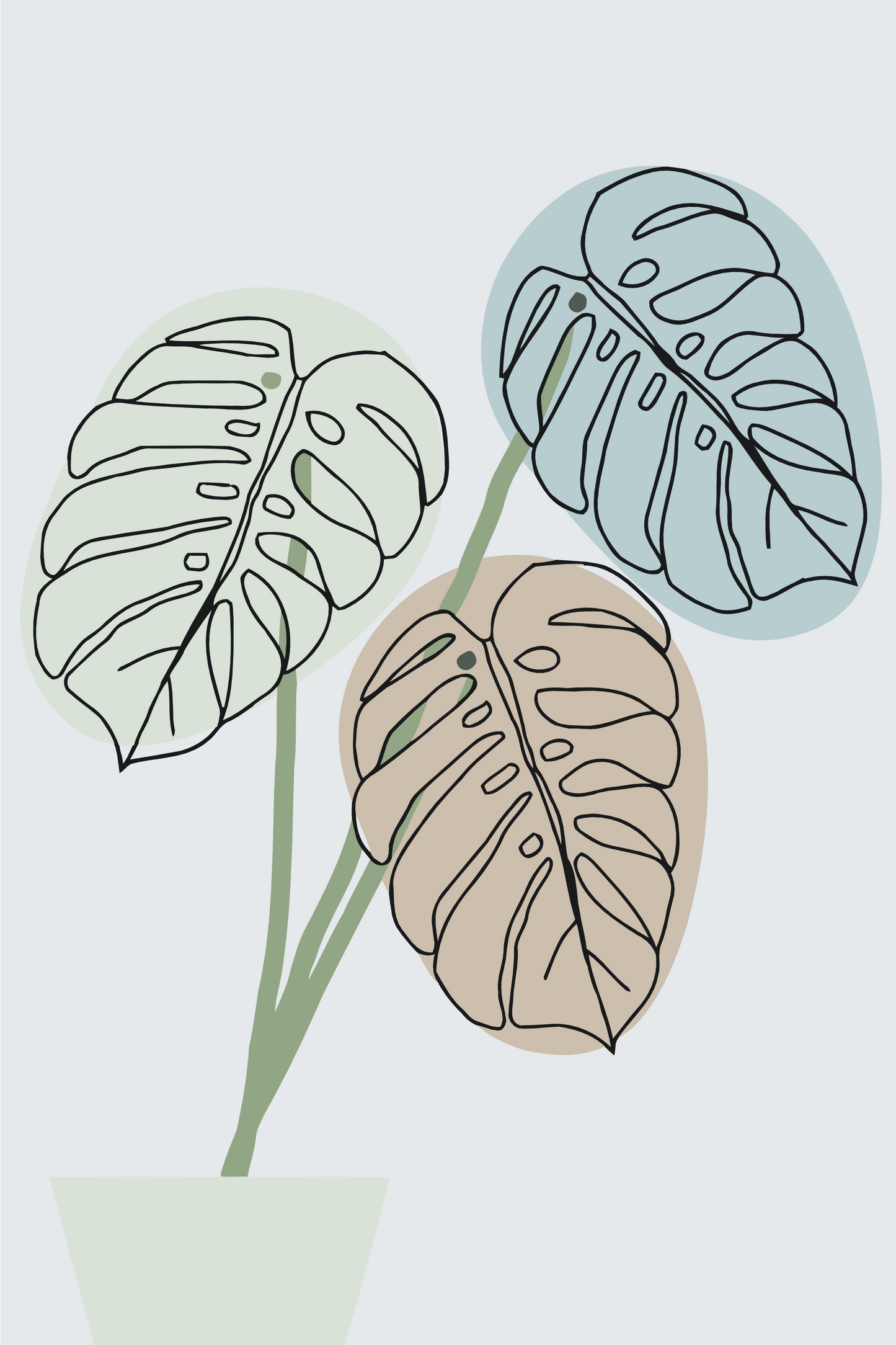 Paint by Numbers - Boho Monstera 2