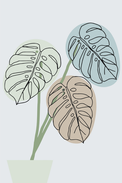 Paint by Numbers - Boho Monstera 2