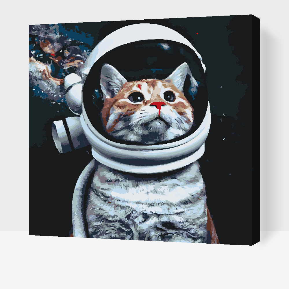 Paint by Numbers - Jeg vil være astronaut