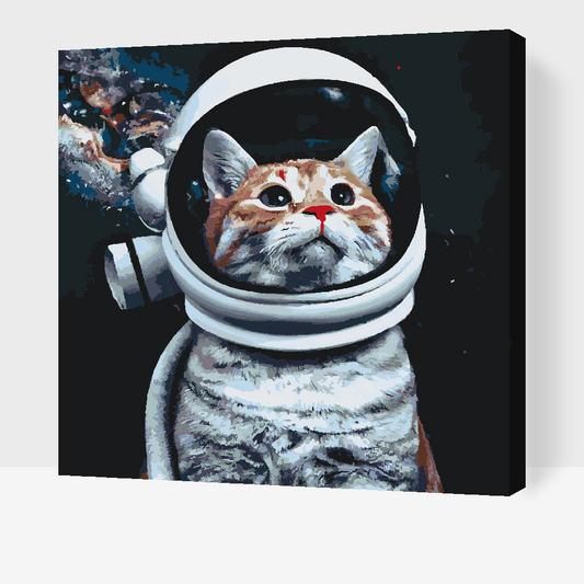Paint by Numbers - Jeg vil være astronaut