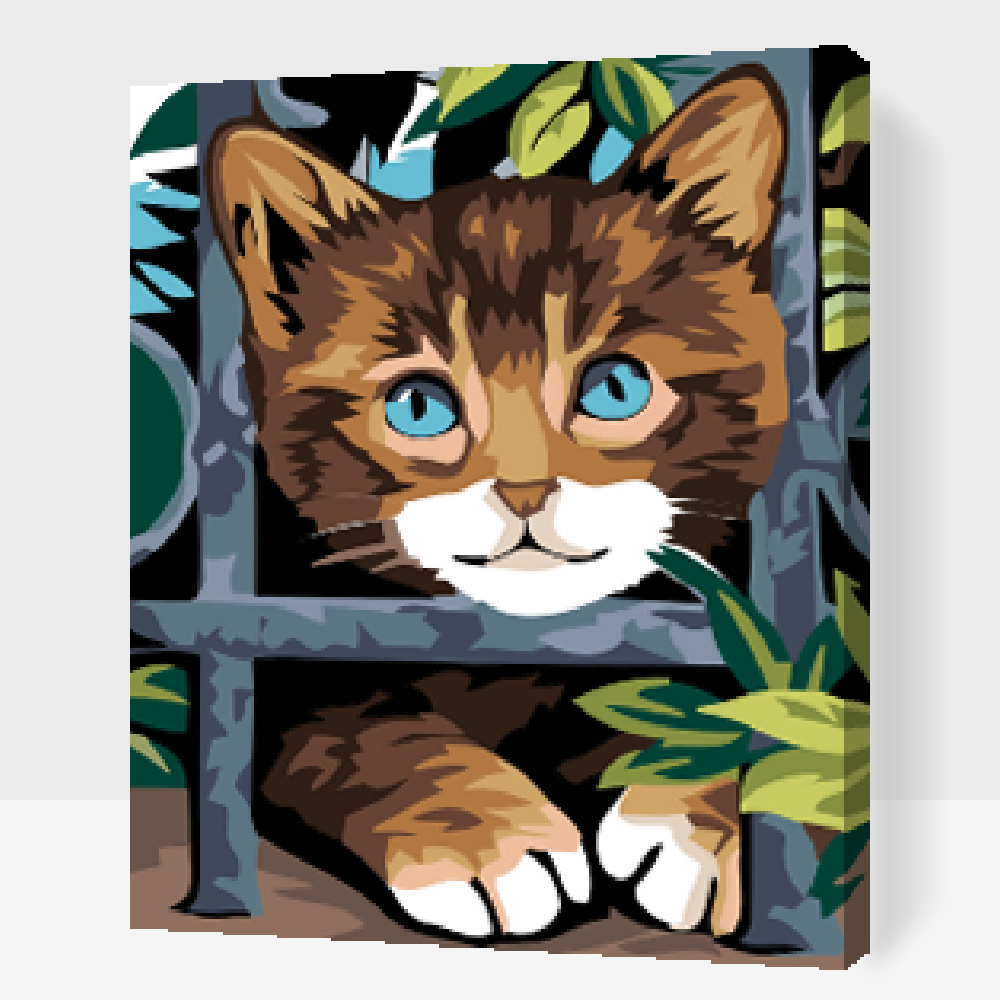 Paint by Numbers - Kitty