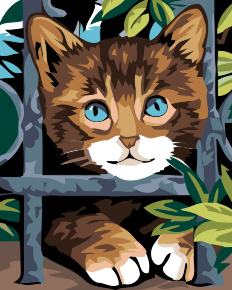 Paint by Numbers - Kitty