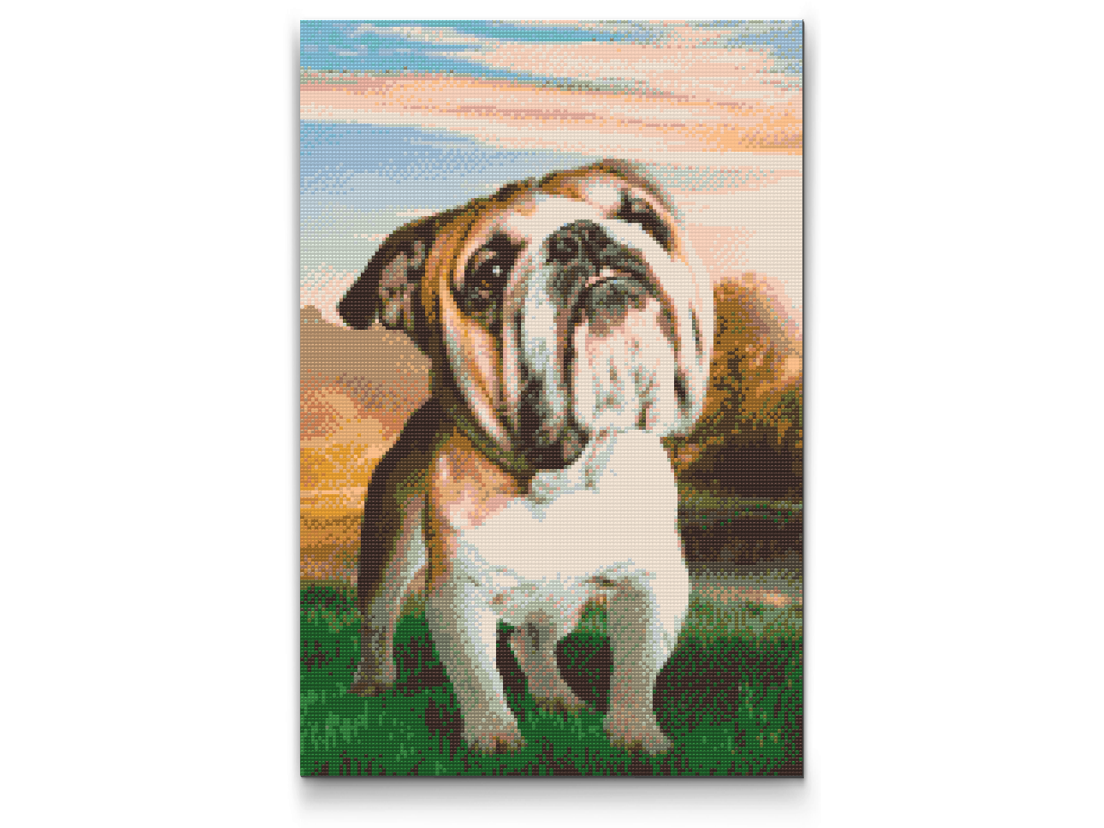Diamond Painting - Engelsk bulldog i haven