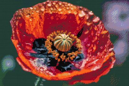 Diamond Painting - Valmueblomst