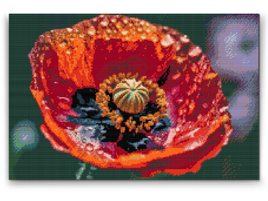 Diamond Painting - Valmueblomst